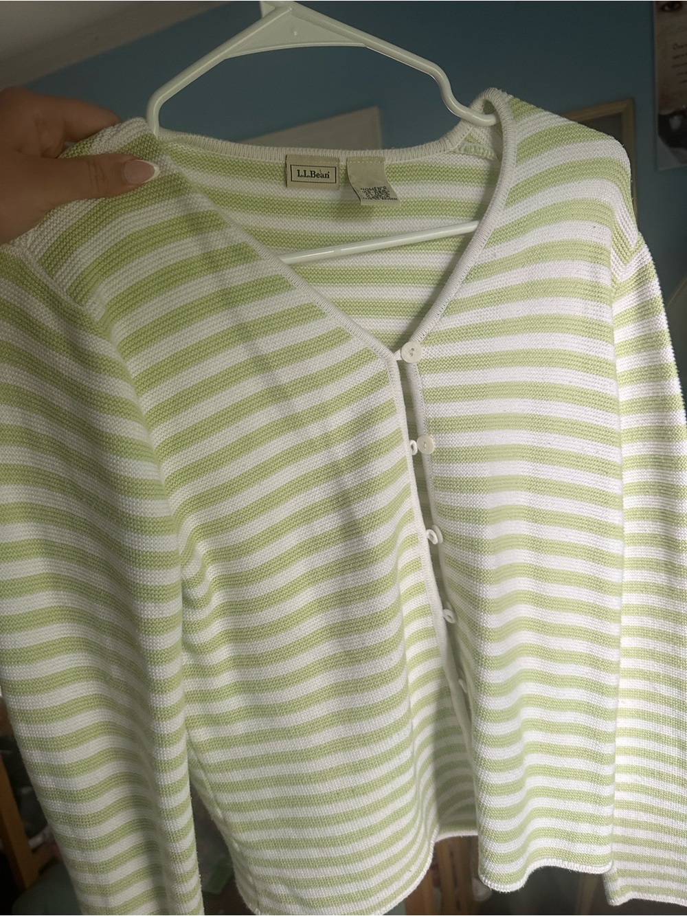 L.L. Bean Cream and Light Green Striped Button-Up Cardigan Whimsical Sweet